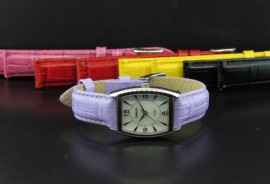 Ladies Fashion Watch with 5 Straps